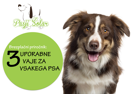 3 uporabne vaje 3 uporabne vaje