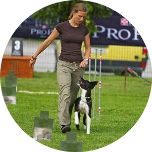 rally obedience - športna poslušnost s psom